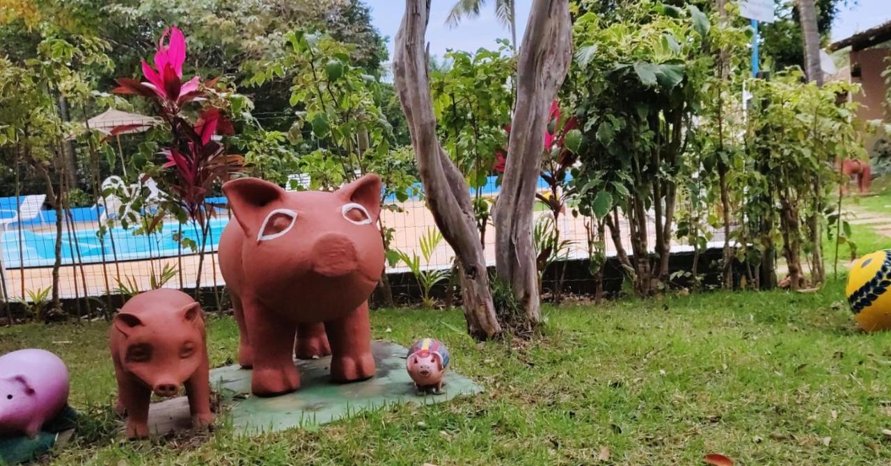 Pousada Ecogreen Imbassaí Mata de São João Exterior foto